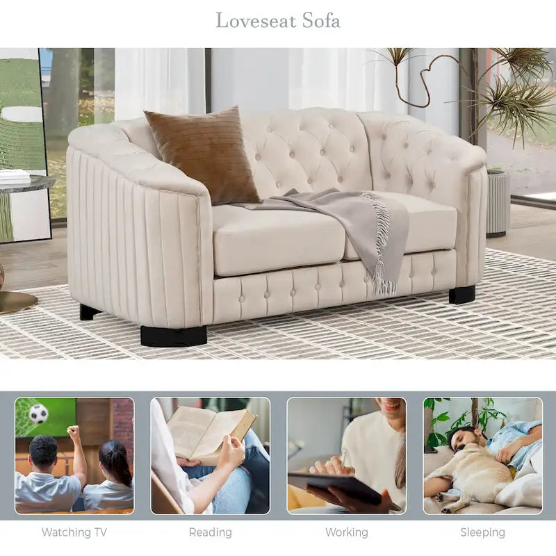 64.3 samtbezogenes Zweisitzersofa, modernes Loveseat mit dicker abnehmbarer Sitzauflage, 2-Personen-Sofa