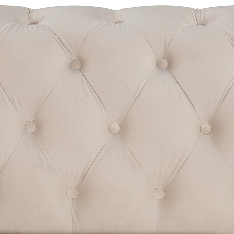 64.3 samtbezogenes Zweisitzersofa, modernes Loveseat mit dicker abnehmbarer Sitzauflage, 2-Personen-Sofa