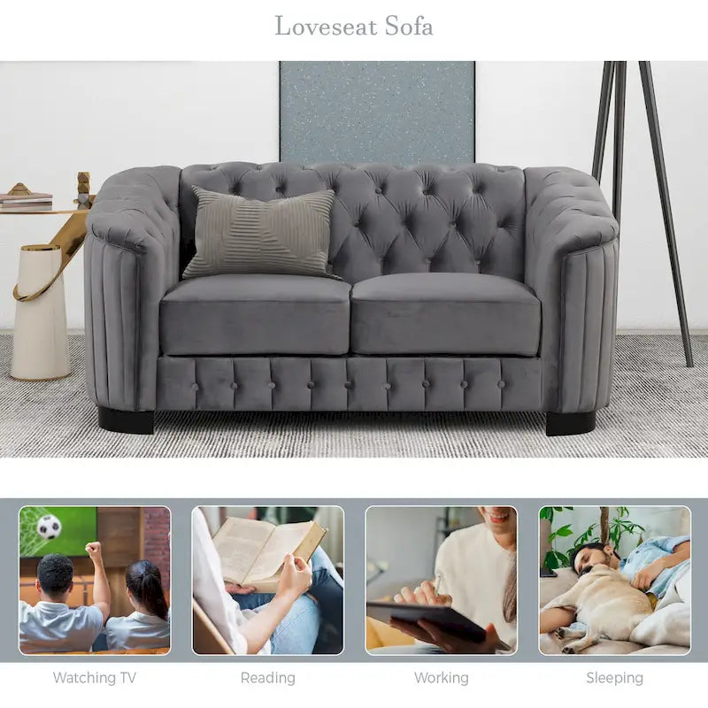64.3 samtbezogenes Zweisitzersofa, modernes Loveseat mit dicker abnehmbarer Sitzauflage, 2-Personen-Sofa