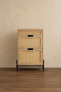 Two-door one-drawer shoe cabinet
