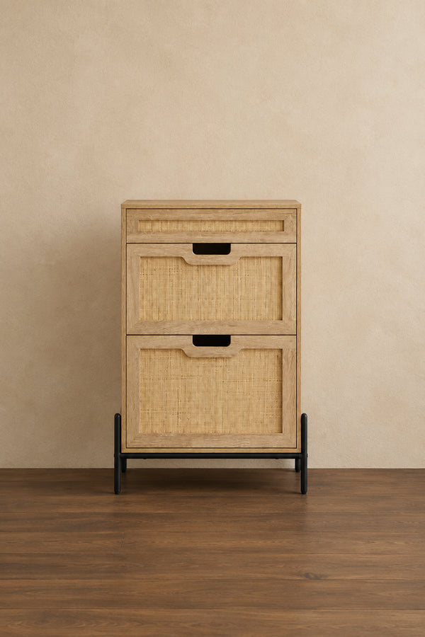 Two-door one-drawer shoe cabinet