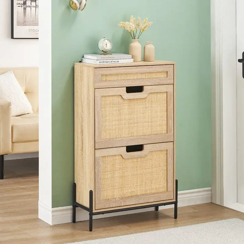 Two-door one-drawer shoe cabinet